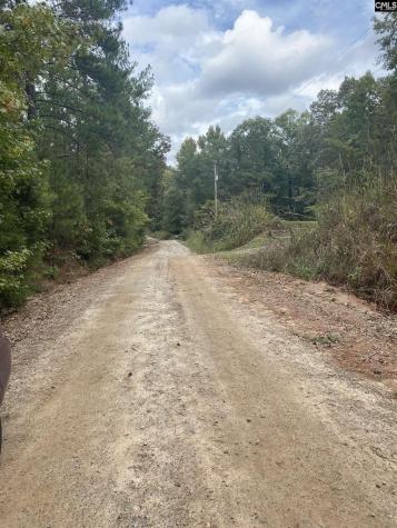 None Claude Bundrick SW Blythewood SC 29016