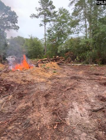 Tbd Pennington Drive Gaston SC 29053