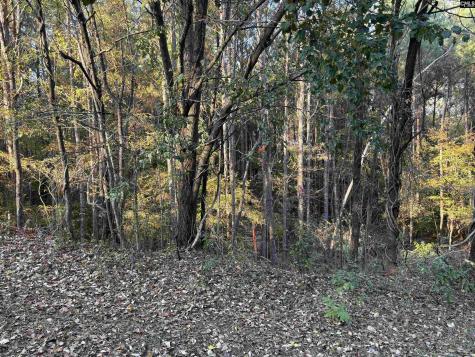 0 Weeping Cherry Lane Columbia SC 29212