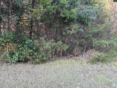 0 Weeping Cherry Lane Columbia SC 29212