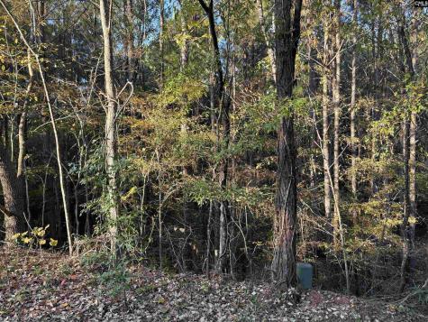 0 Weeping Cherry Lane Columbia SC 29212