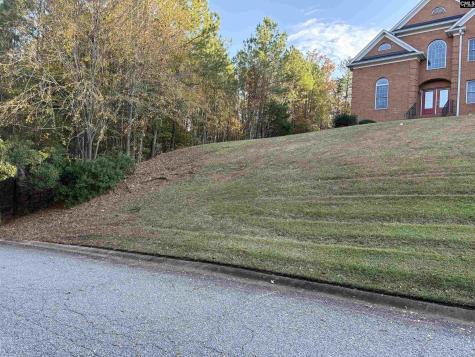 0 Weeping Cherry Lane Columbia SC 29212
