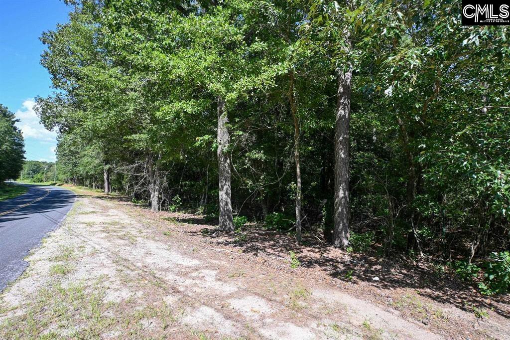 681 New Hope Road Orangeburg SC 29118