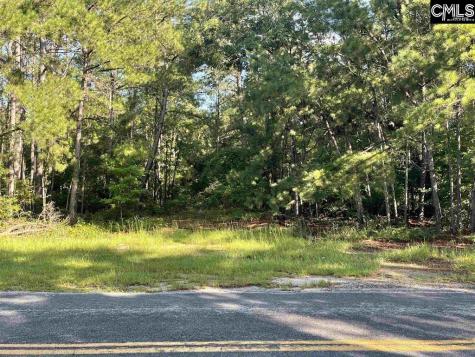 681 New Hope Road Orangeburg SC 29118