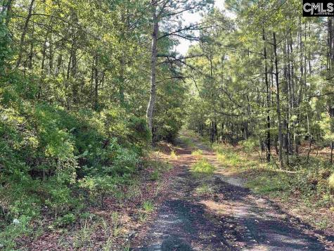 681 New Hope Road Orangeburg SC 29118