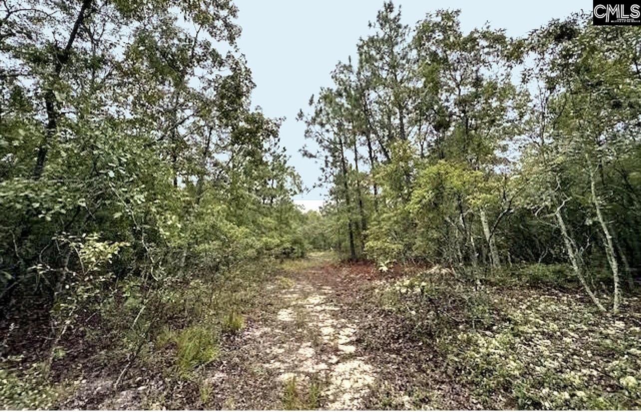 0 Fallaw Road Gaston SC 29053