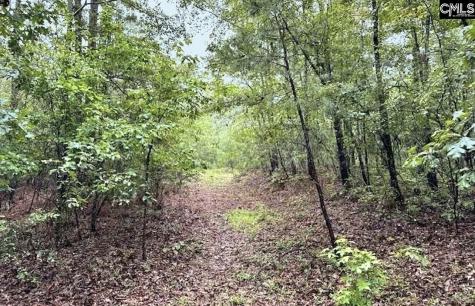 0 Fallaw Road Gaston SC 29053