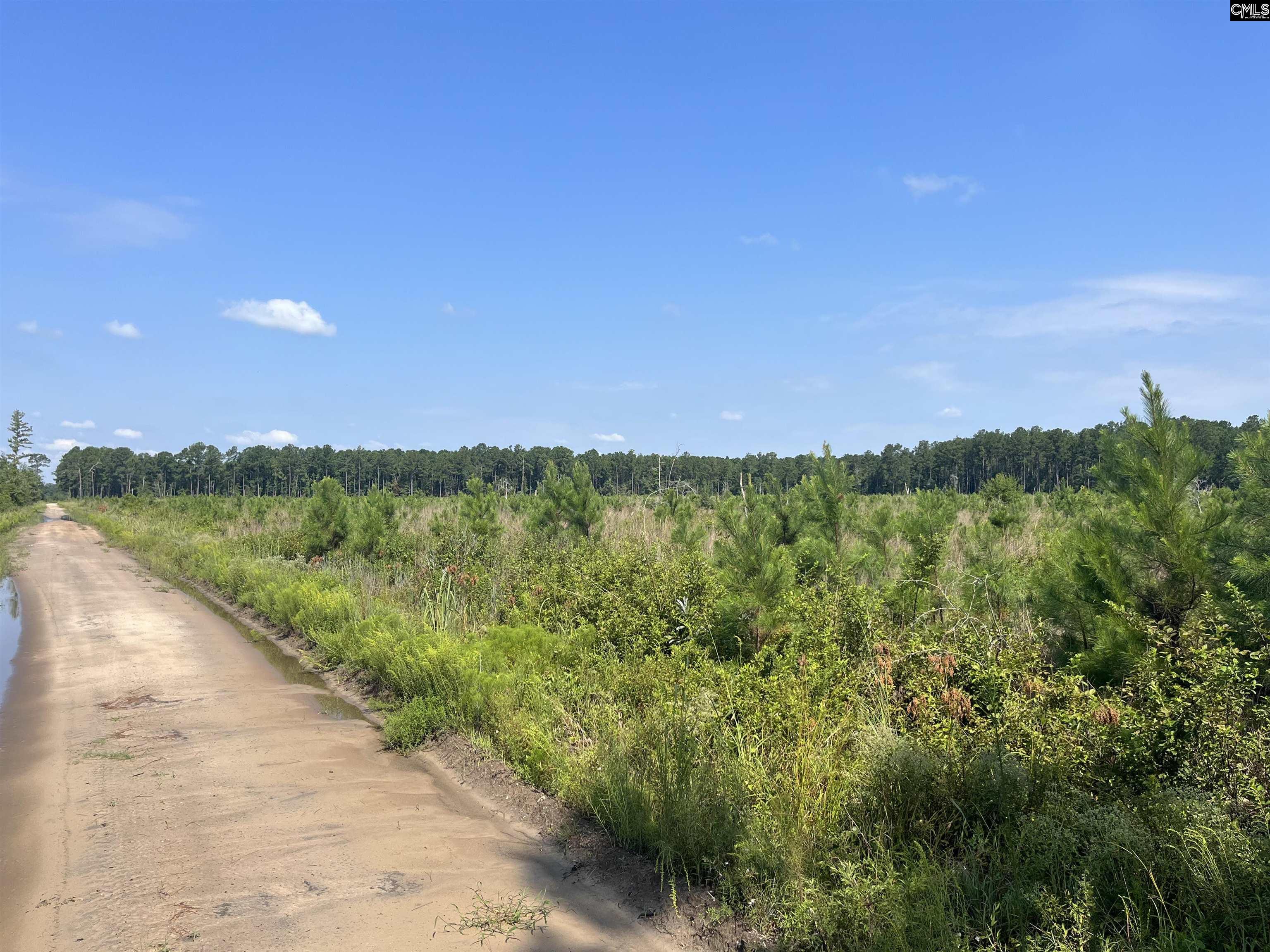 Mahogany Lane Orangeburg SC 29115