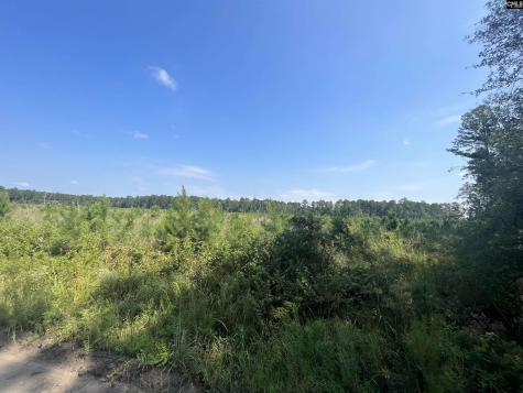 Mahogany Lane Orangeburg SC 29115