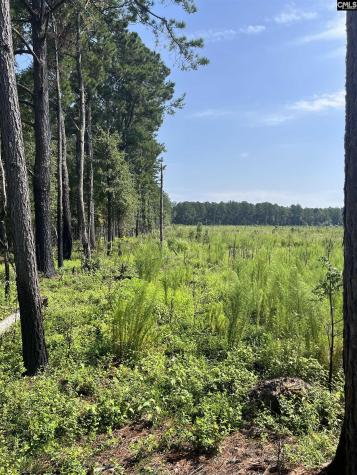 Mahogany Lane Orangeburg SC 29115