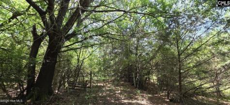 105 Acres Chestnut Ridge Road Mccormick SC 29835