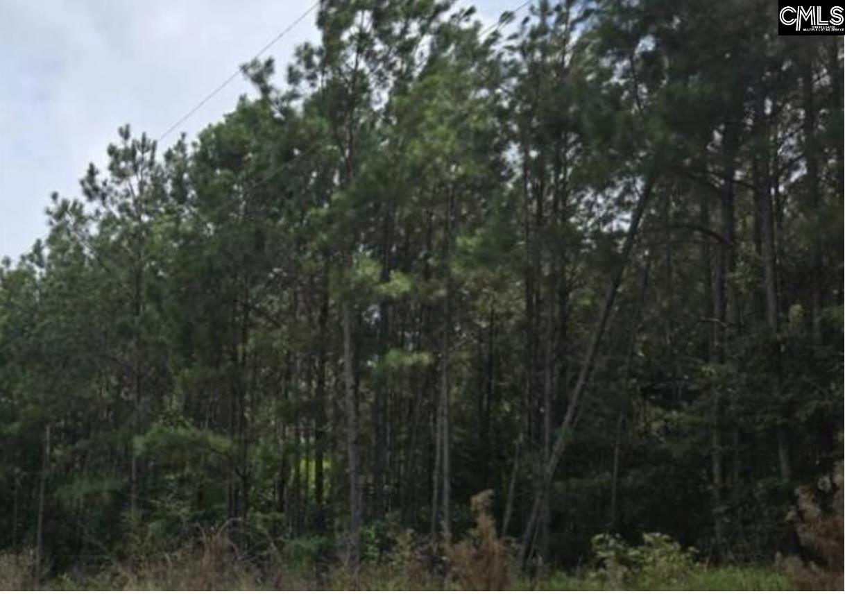 5 Acres Old Edgefield Road Ninety Six SC 29666