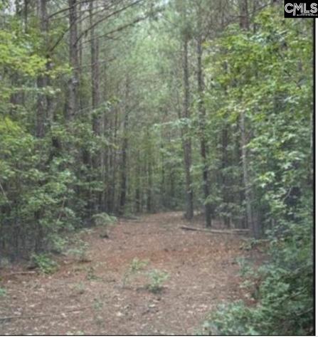 5 Acres Old Edgefield Road Ninety Six SC 29666