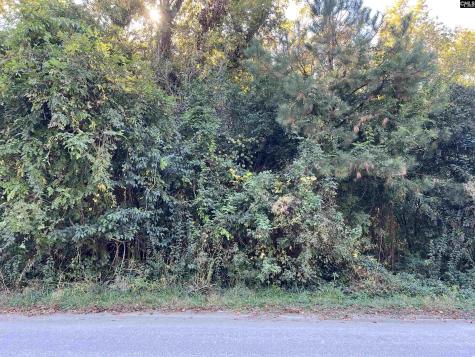 1704 Smith Street Columbia SC 29209