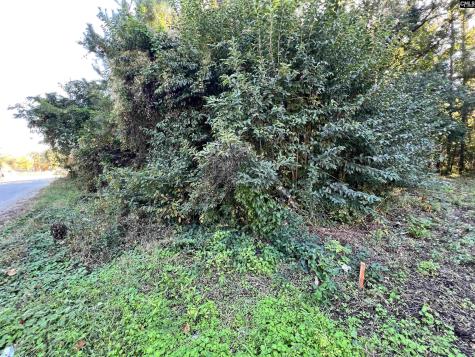 1704 Smith Street Columbia SC 29209