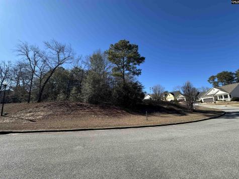 119 Mayhaw Drive Columbia SC 29206