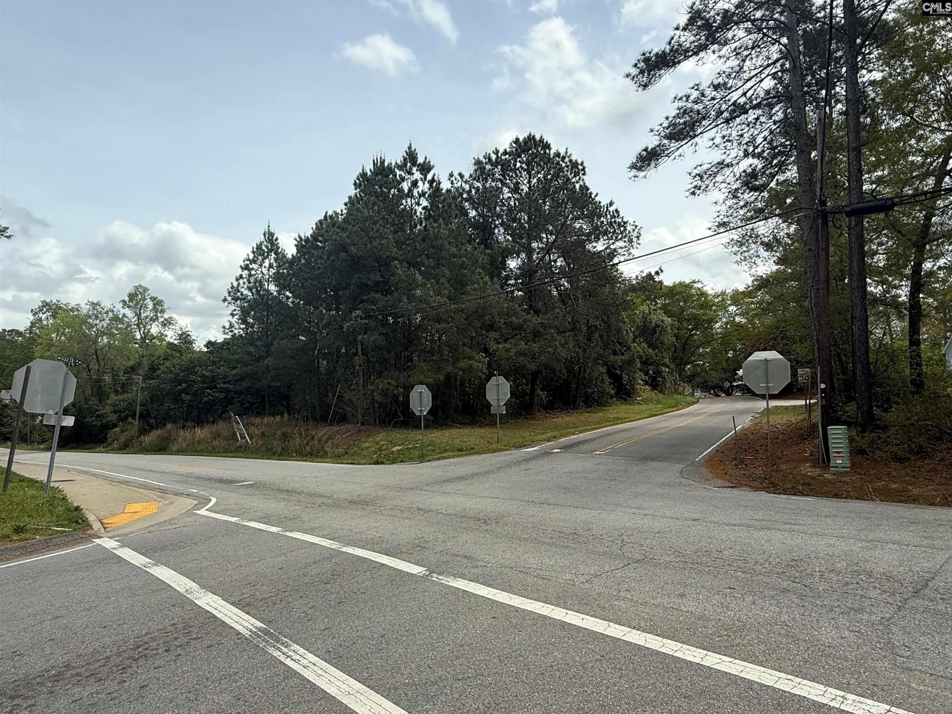 121 Roberts Street Lexington SC 29072