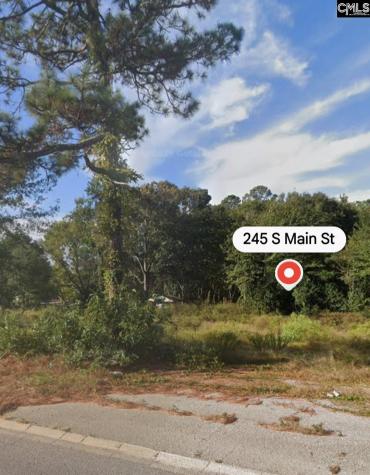 245 South Main Street Gaston SC 29053