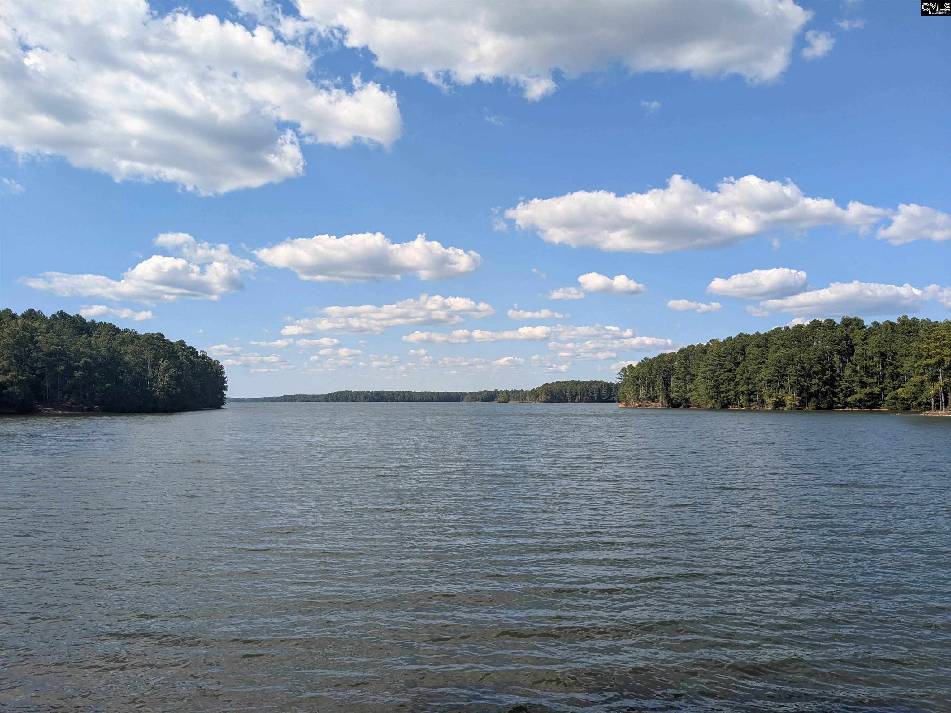 0 Lakeview Drive Jenkinsville SC 29065