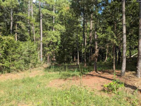 0 Lakeview Drive Jenkinsville SC 29065