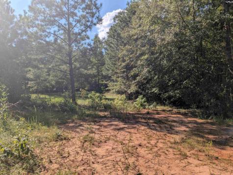 0 Lakeview Drive Jenkinsville SC 29065