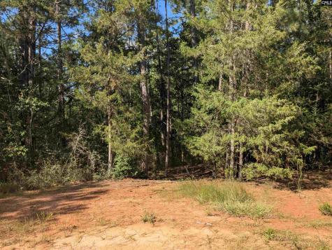 0 Lakeview Drive Jenkinsville SC 29065