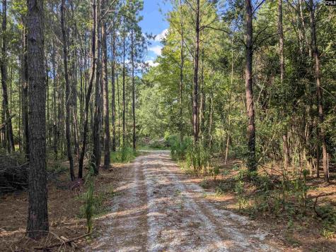 0 Lakeview Drive Jenkinsville SC 29065