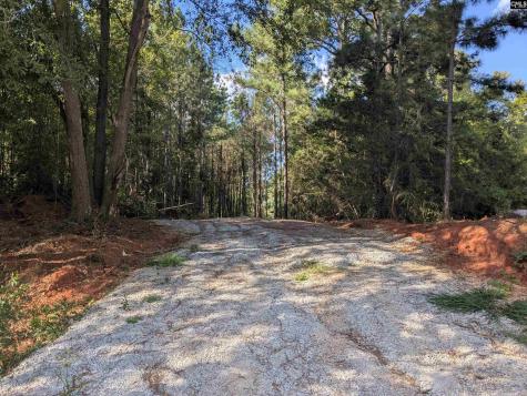 0 Lakeview Drive Jenkinsville SC 29065