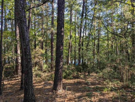 0 Lakeview Drive Jenkinsville SC 29065