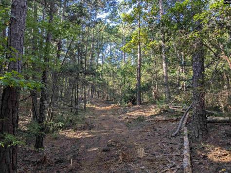 0 Lakeview Drive Jenkinsville SC 29065