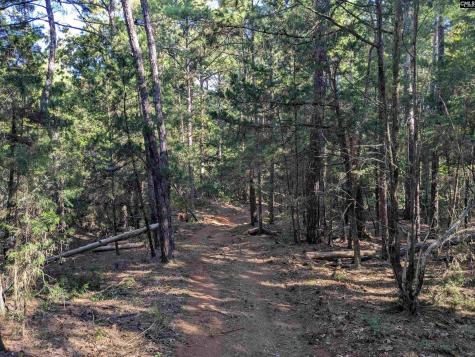 0 Lakeview Drive Jenkinsville SC 29065