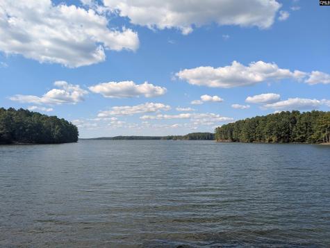 0 Lakeview Drive Jenkinsville SC 29065