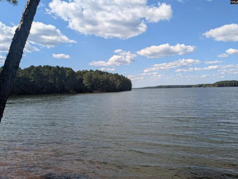 0 Lakeview Drive Jenkinsville SC 29065