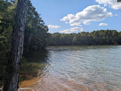 0 Lakeview Drive Jenkinsville SC 29065