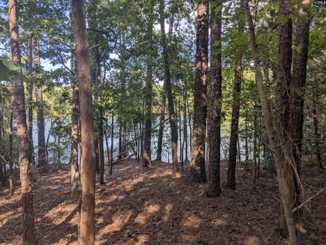 0 Lakeview Drive Jenkinsville SC 29065