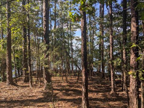 0 Lakeview Drive Jenkinsville SC 29065