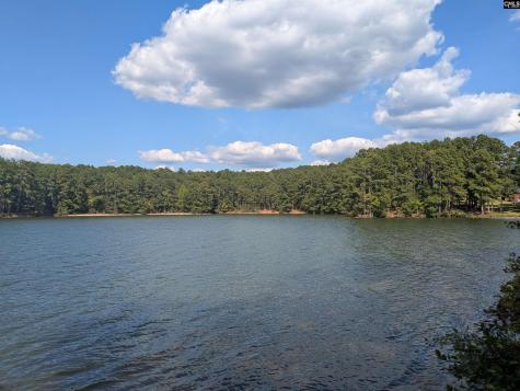 0 Lakeview Drive Jenkinsville SC 29065