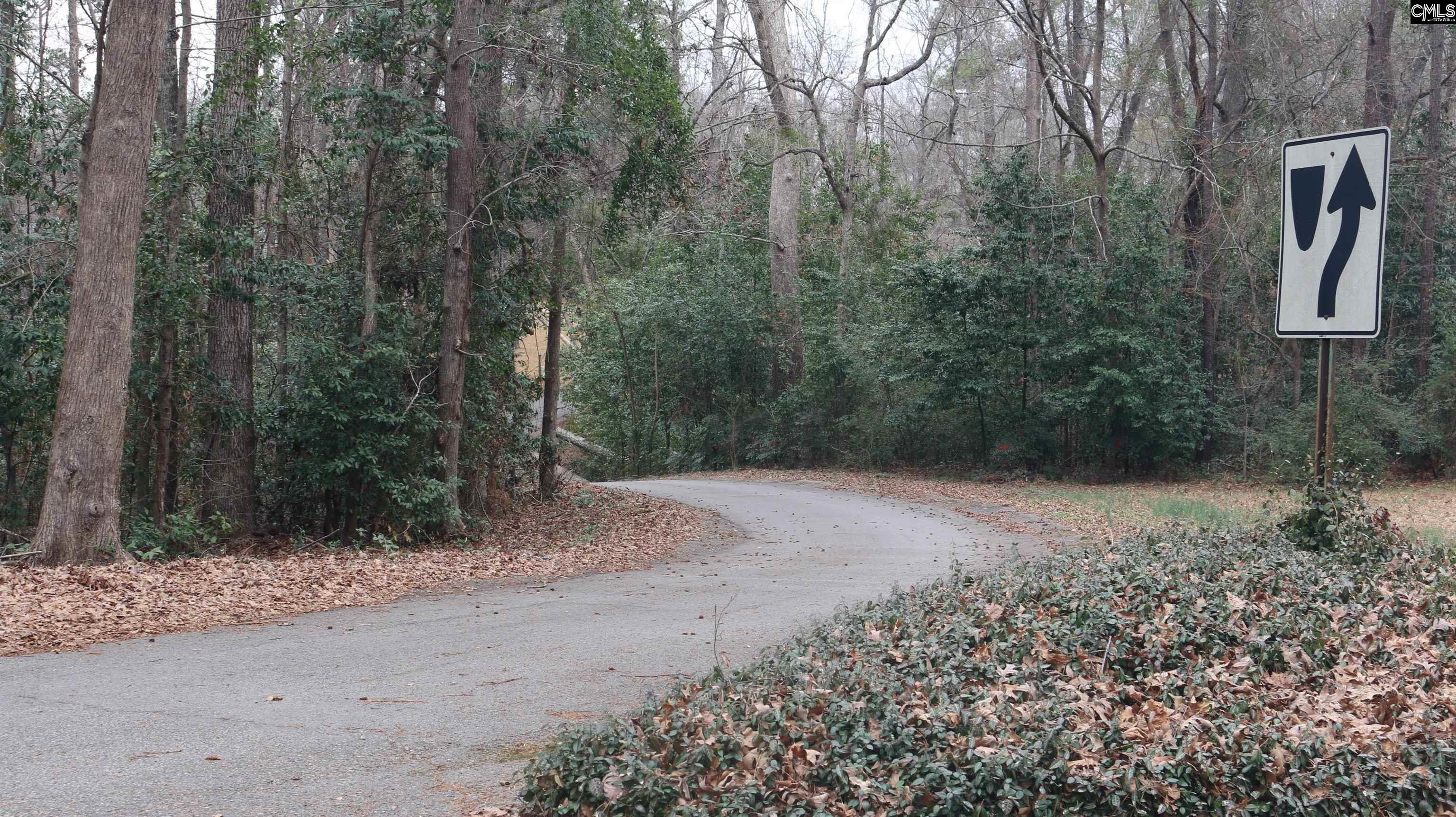 291 Big Timber Drive Lexington SC 29073