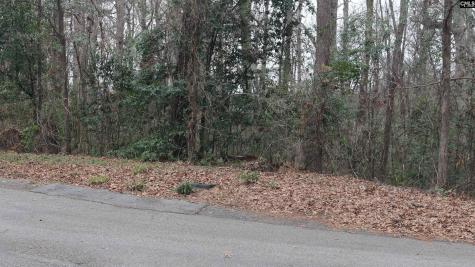 291 Big Timber Drive Lexington SC 29073