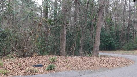 291 Big Timber Drive Lexington SC 29073