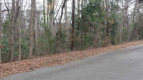 291 Big Timber Drive Lexington SC 29073