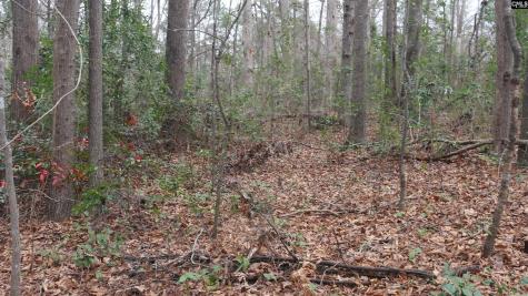 291 Big Timber Drive Lexington SC 29073