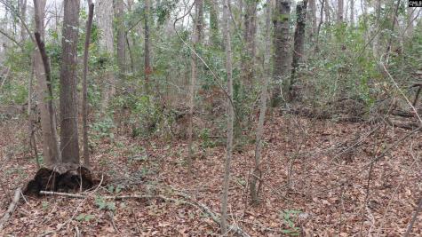 291 Big Timber Drive Lexington SC 29073