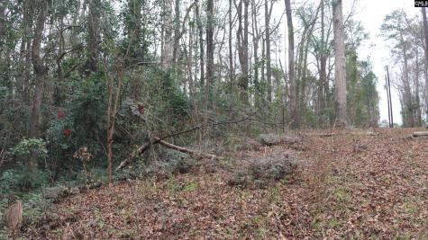 291 Big Timber Drive Lexington SC 29073