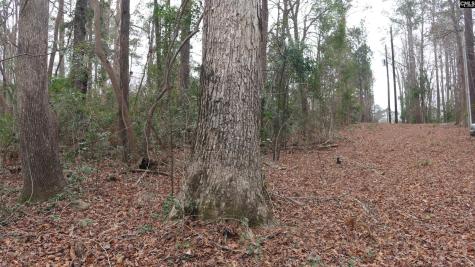 291 Big Timber Drive Lexington SC 29073
