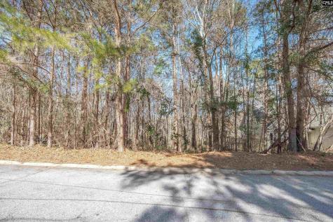 220 Waterville Drive Columbia SC 29229
