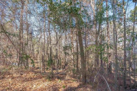 220 Waterville Drive Columbia SC 29229