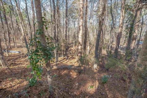 220 Waterville Drive Columbia SC 29229