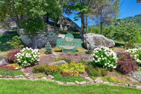 10 Northslope View Landrum SC 29356
