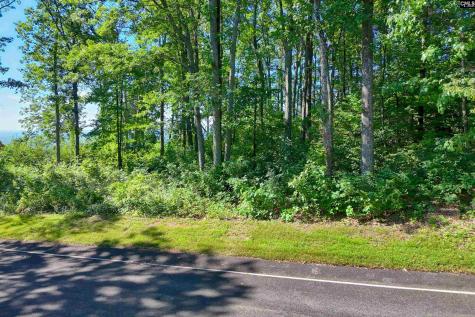 10 Northslope View Landrum SC 29356